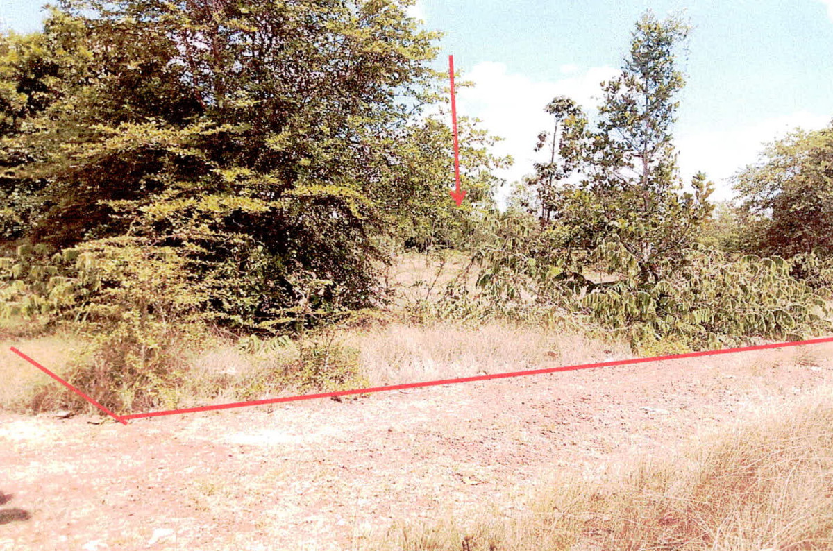 Residential land/lot Ubon Ratchathani Sawang Wirawong Tha Chang 28000