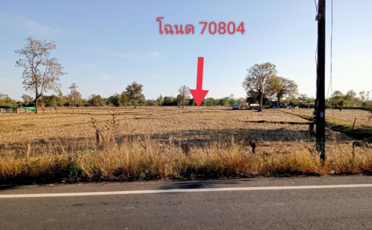 ที่ดินเปล่า อุบลราชธานี เมืองอุบลราชธานี ขามใหญ่ 3595050