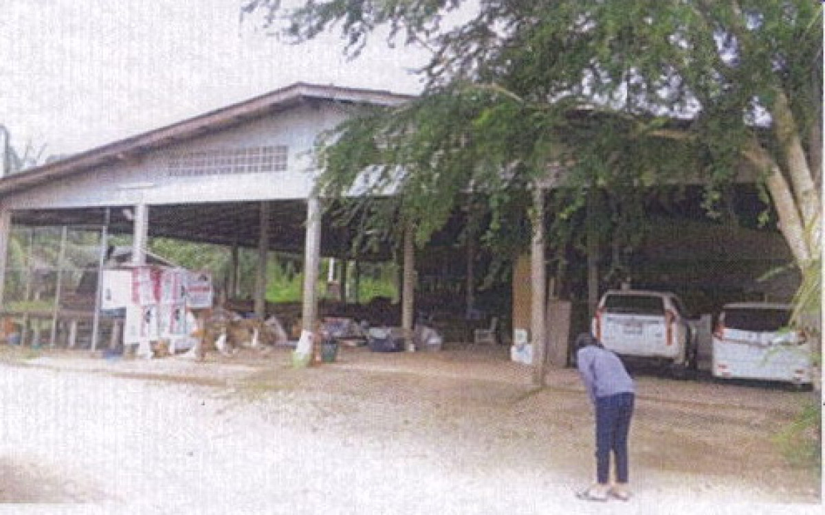 บ้านเดี่ยว กระบี่ คลองท่อม ทรายขาว 15557208