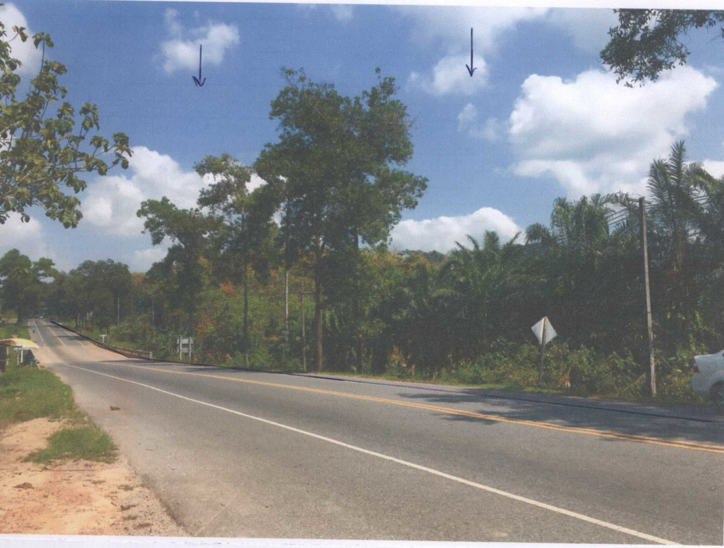 Residential land/lot Krabi Plai Phraya Plai Phraya 33297100