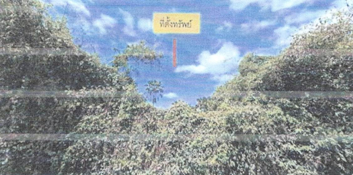 ที่ดินเปล่า ยะลา ยะหา ละแอ 30880