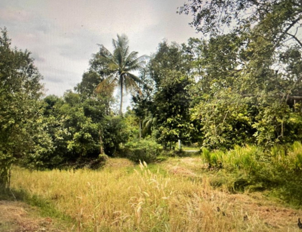 ที่ดินเปล่า อุบลราชธานี เมืองอุบลราชธานี ปะอาว 75000
