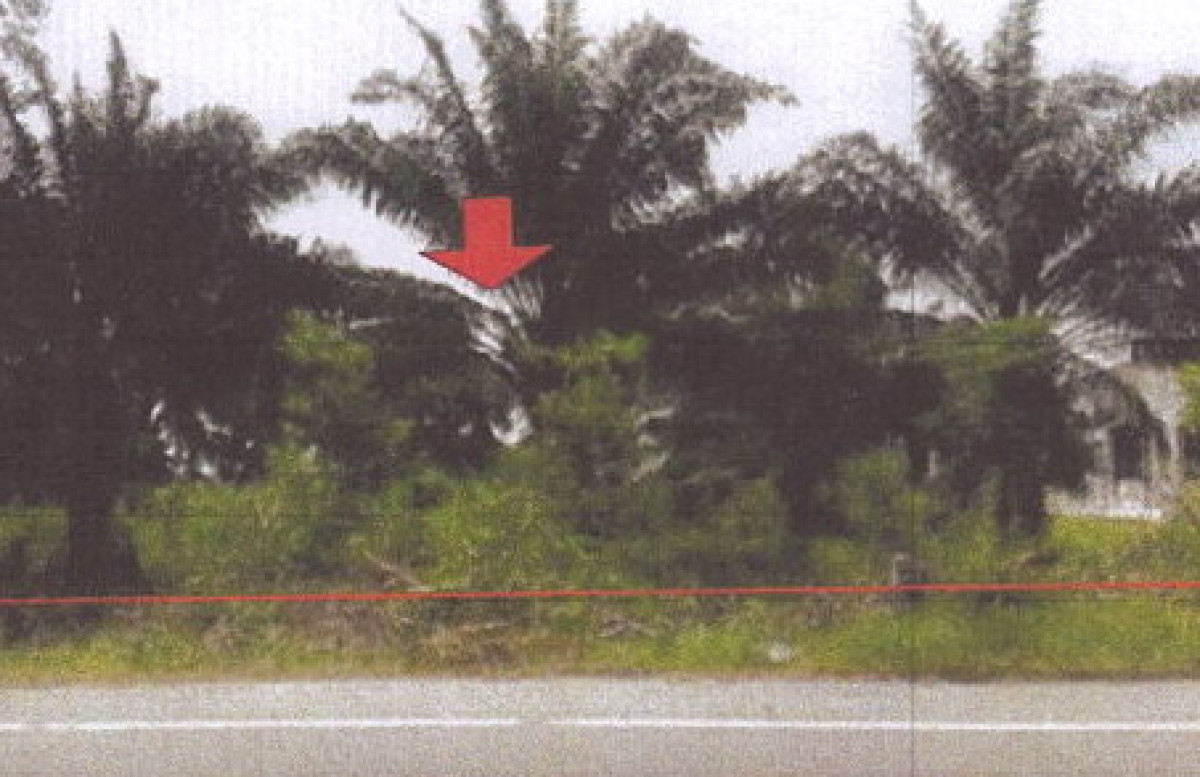 Residential land/lot Krabi Khlong Thom Sai Khao 2527500