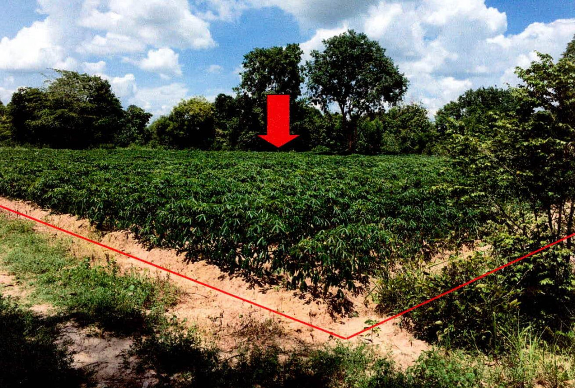 ที่ดินเปล่า อุบลราชธานี วารินชำราบ หนองกินเพล 81870