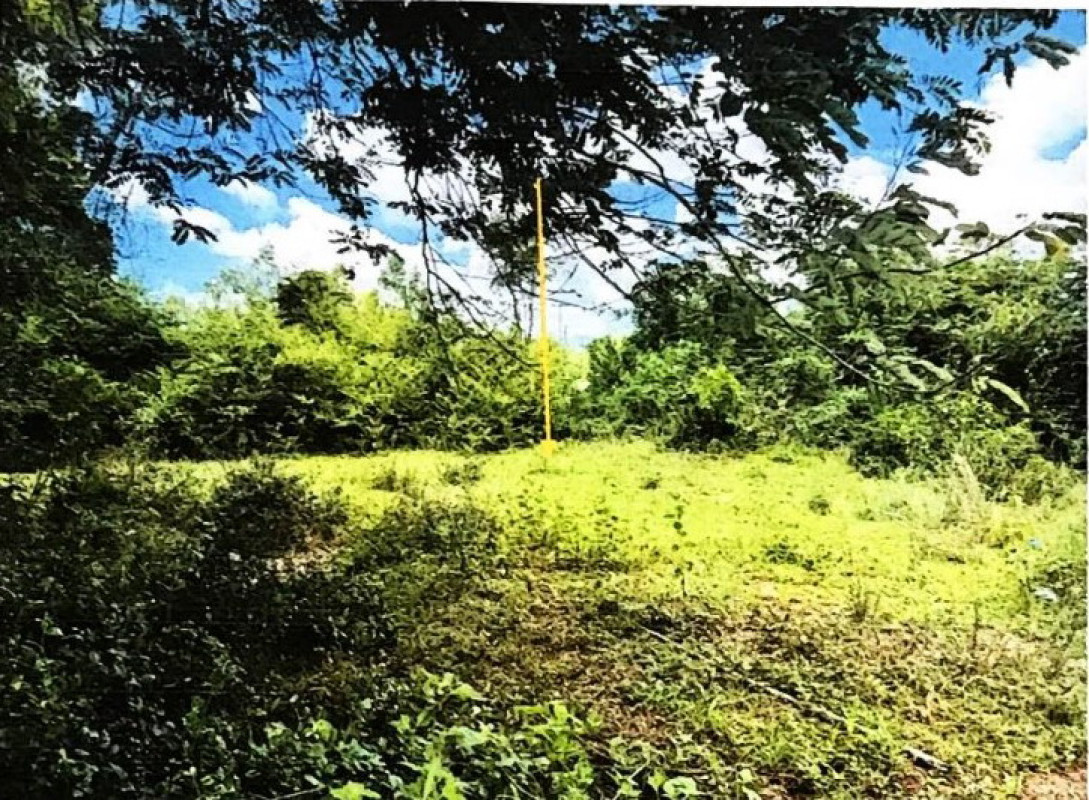 ที่ดินเปล่า อุบลราชธานี เมืองอุบลราชธานี ปะอาว 104000