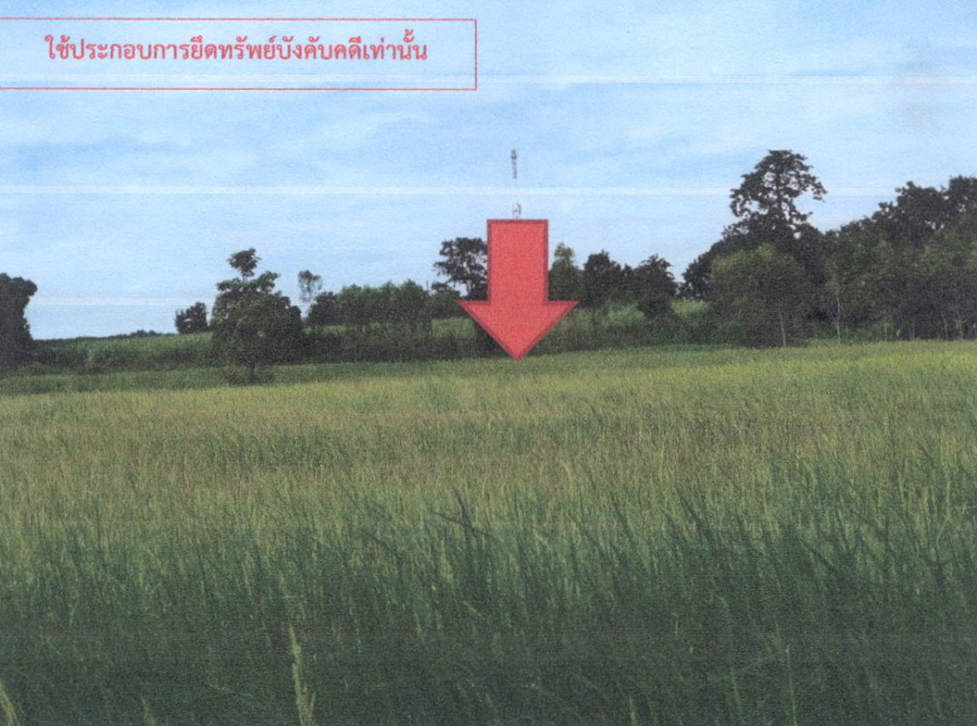 ที่ดินเปล่า กาฬสินธุ์ กุฉินารายณ์ กุดค้าว 0