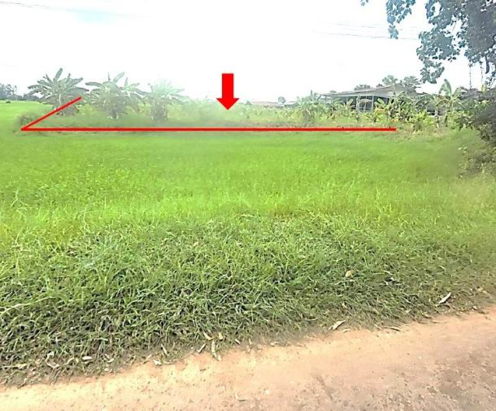ที่ดินเปล่า กาฬสินธุ์ ฆ้องชัย เหล่ากลาง 368000
