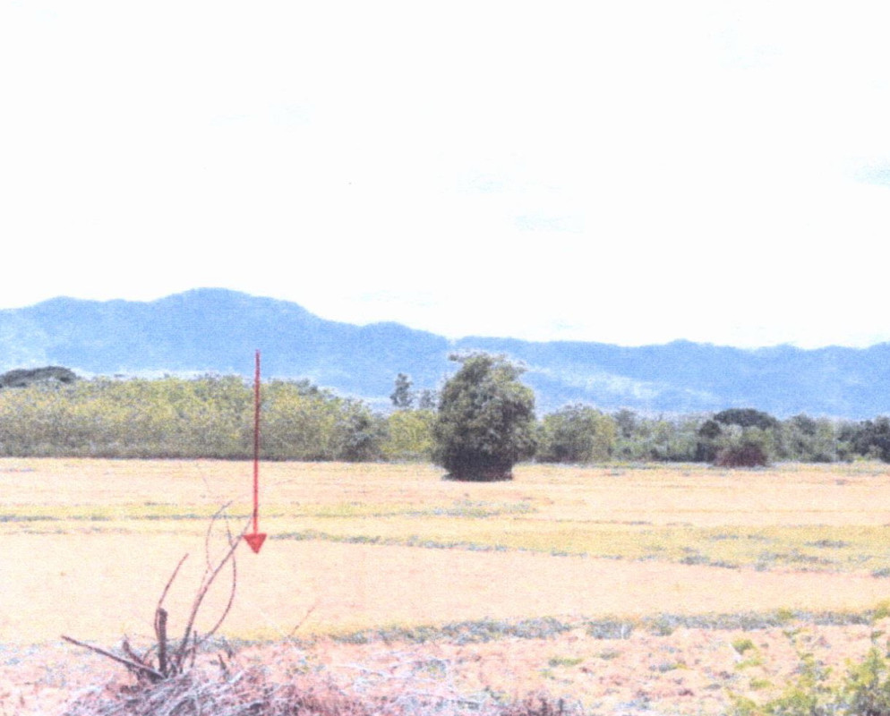 ที่ดินเปล่า แพร่ เมืองแพร่ ทุ่งกวาว 31850