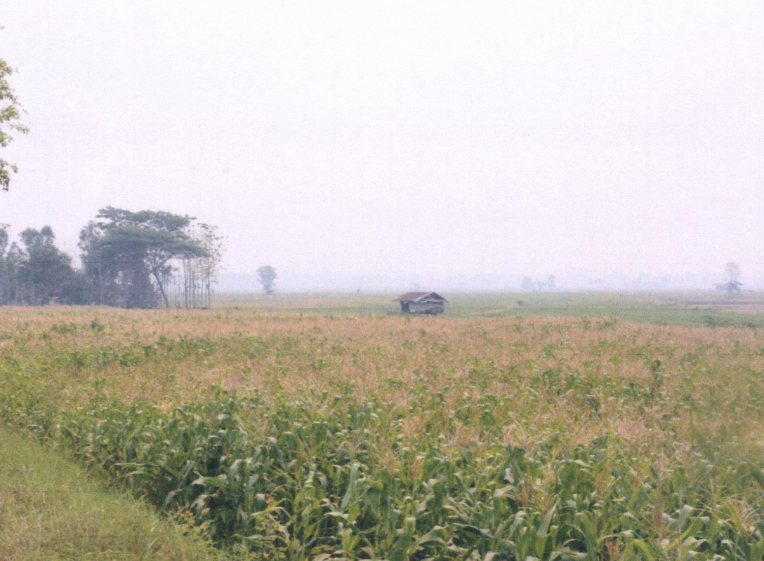 ที่ดินเปล่า แพร่ เมืองแพร่ ในเวียง 192600