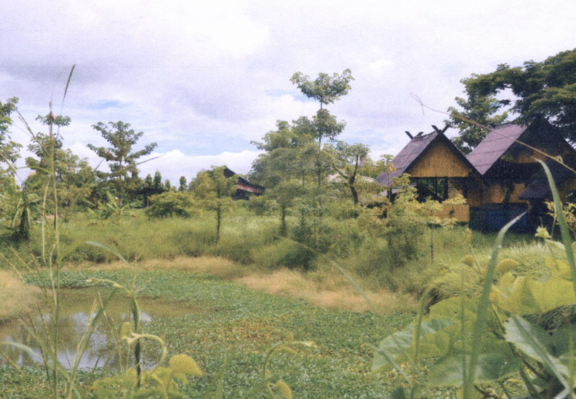 ที่ดินเปล่า แพร่ เมืองแพร่ ทุ่งกวาว 178800