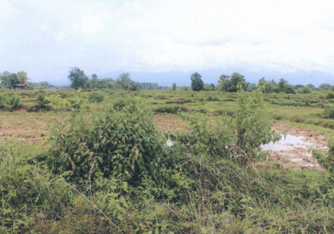 ที่ดินเปล่า แพร่ เมืองแพร่ เหมืองหม้อ 120000