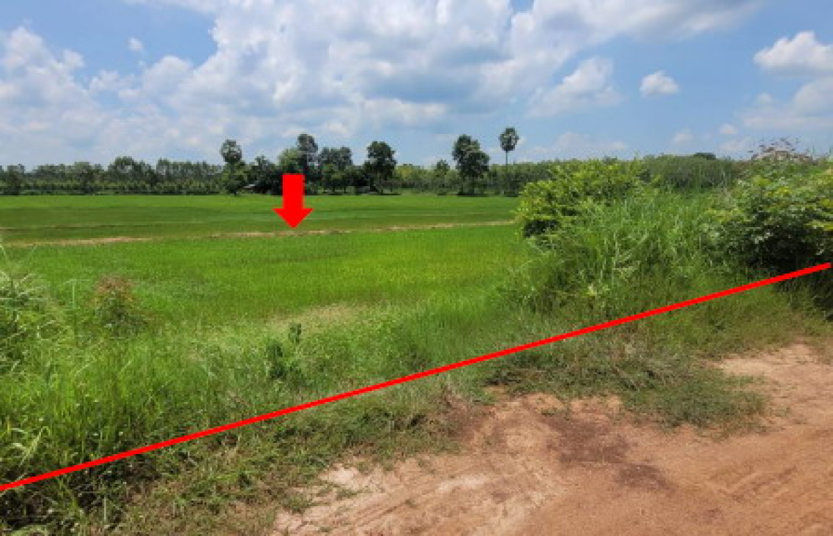 บ้านเดี่ยว กาฬสินธุ์ ดอนจาน ดอนจาน 3733000