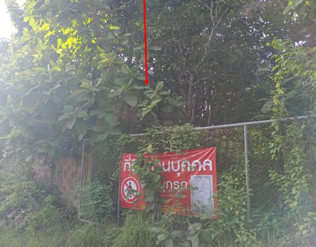 ที่ดินเปล่า พะเยา เมืองพะเยา ท่าวังทอง 8720000