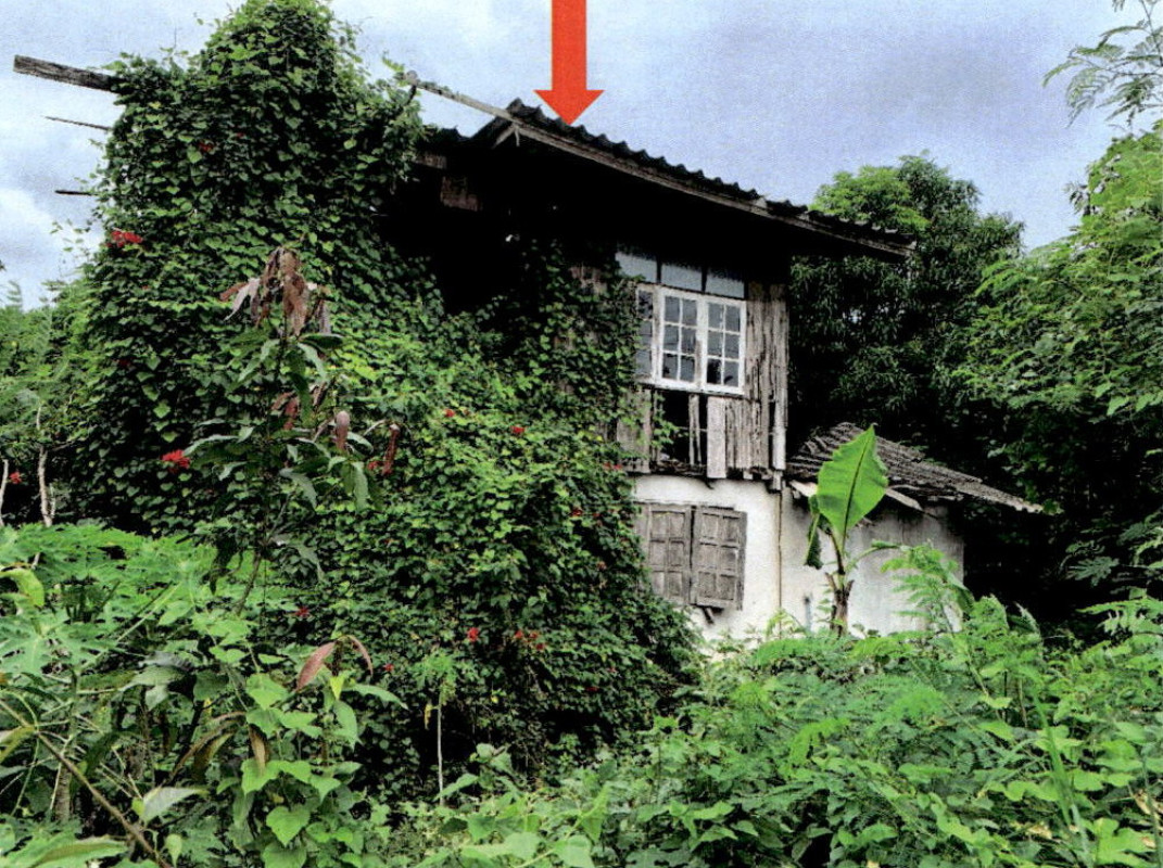 Single house Lampang Ko Kha Mai Phatthana 466395