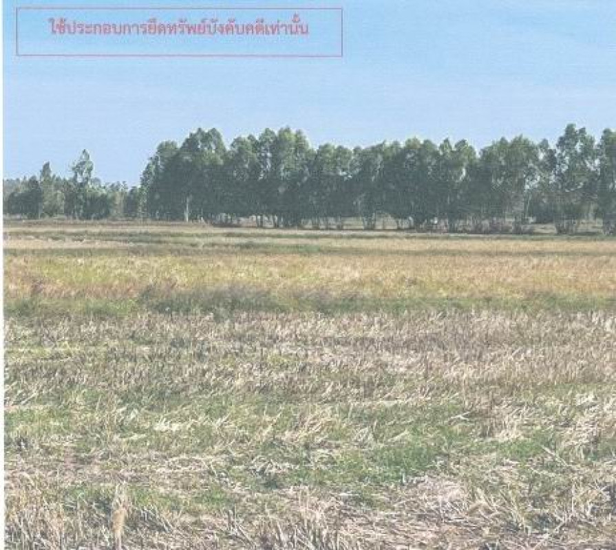 ที่ดินเปล่า กาฬสินธุ์ ยางตลาด หัวนาคำ 418000
