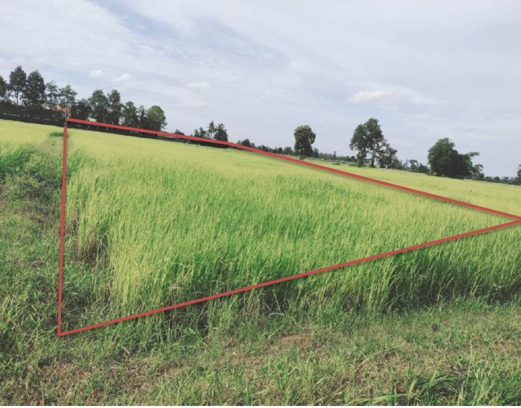 ที่ดินเปล่า ศรีสะเกษ ไพรบึง ดินแดง 16500