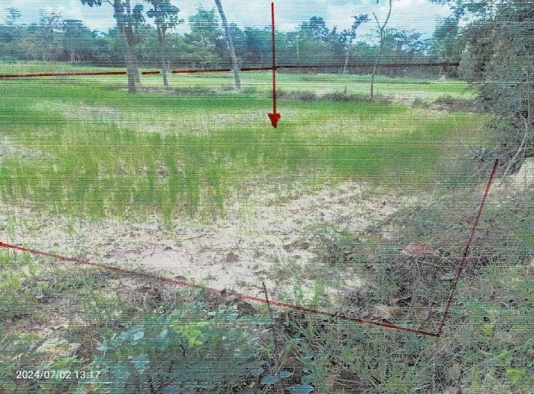 ที่ดินเปล่า ศรีสะเกษ โนนคูณ หนองกุง 187154