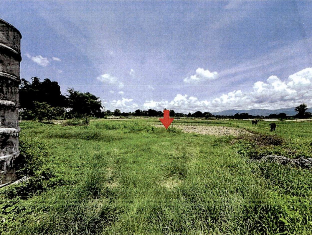 ที่ดินเปล่า ลำปาง เมืองลำปาง บ้านเอื้อม 131790