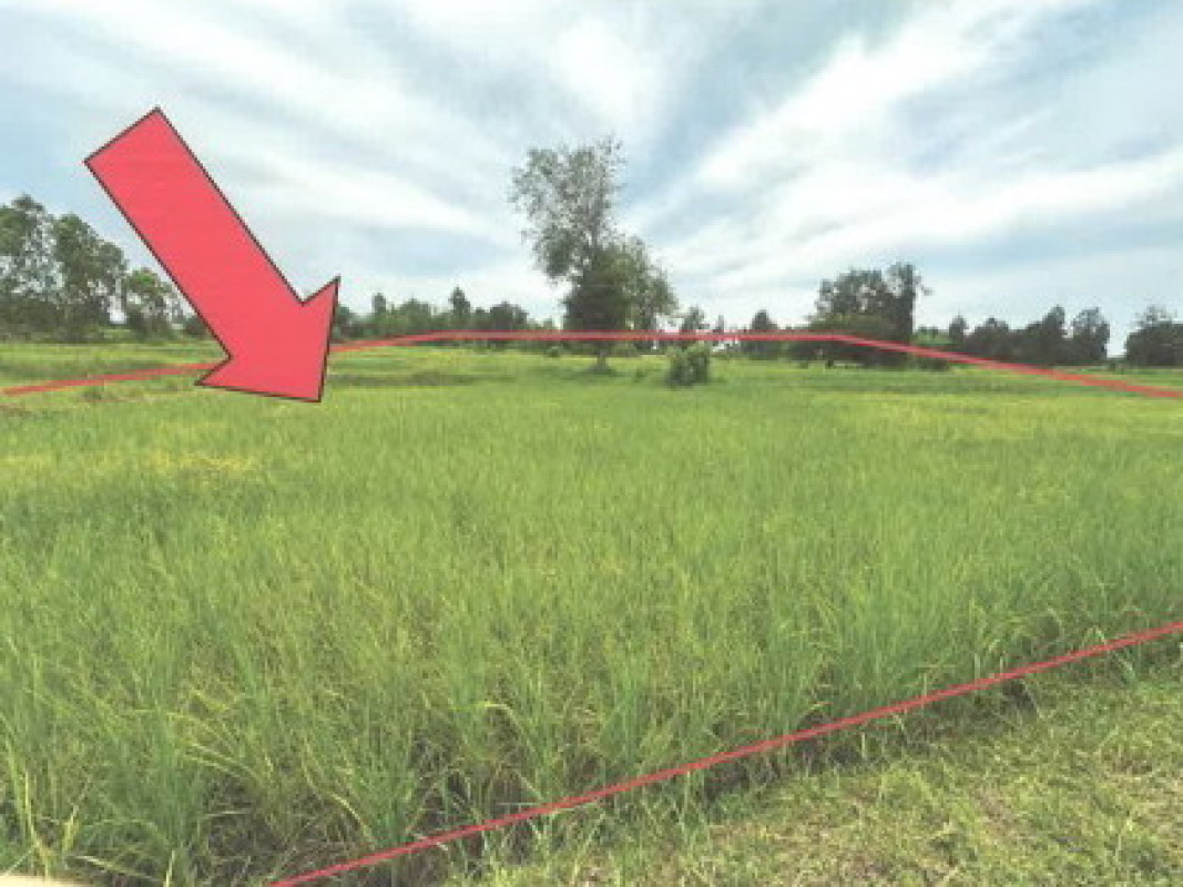Residential land/lot Kalasin Mueang Kalasin Lampao 980000