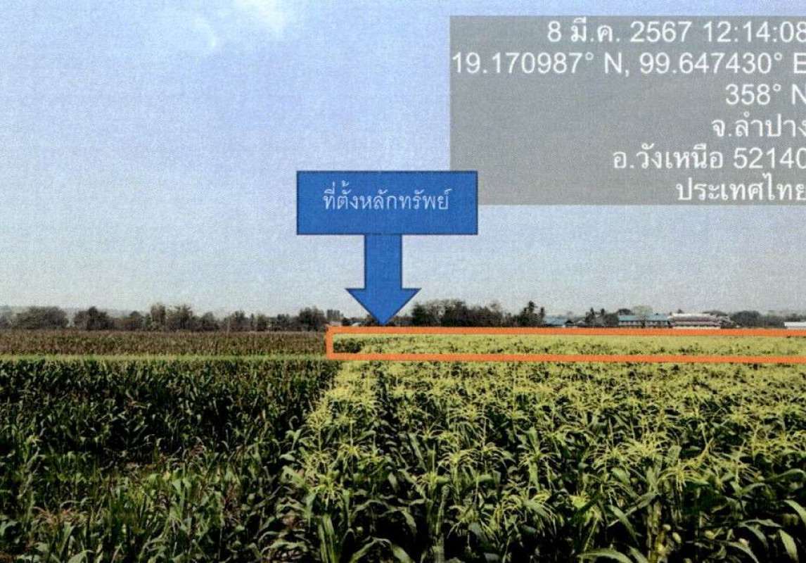 ที่ดินเปล่า ลำปาง วังเหนือ วังซ้าย 372400