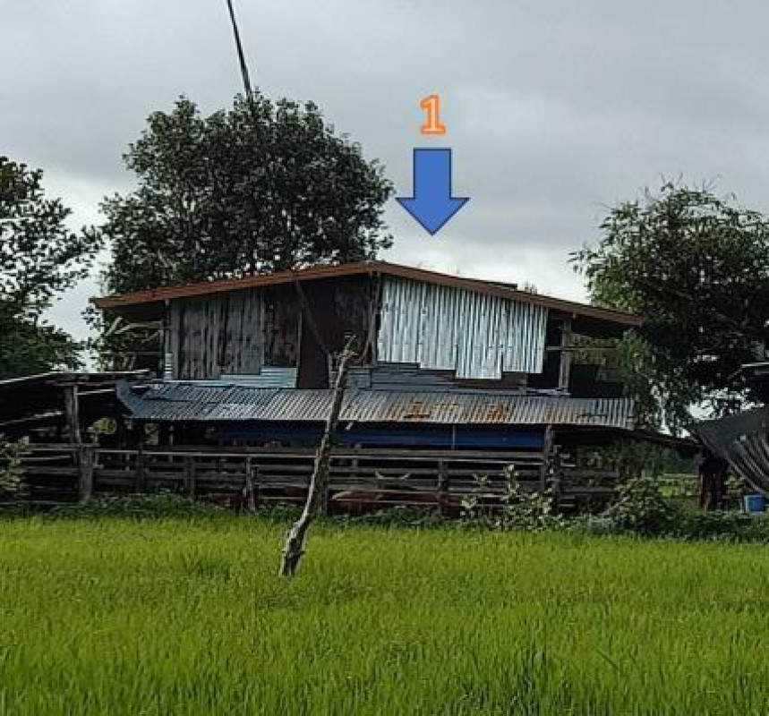 บ้านเดี่ยว อุบลราชธานี กุดข้าวปุ้น ข้าวปุ้น 1198167
