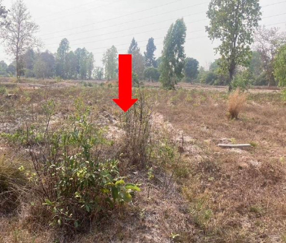 Residential land/lot Ubon Ratchathani Sawang Wirawong Tha Chang 60165