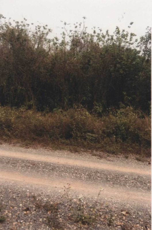 Residential land/lot Phayao Mae Chai Ban Lao 270550