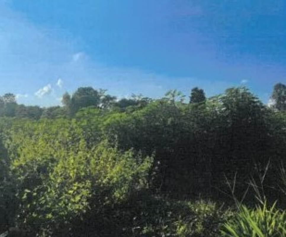Residential land/lot Kalasin Kuchinarai Lao Hai Ngam 130000