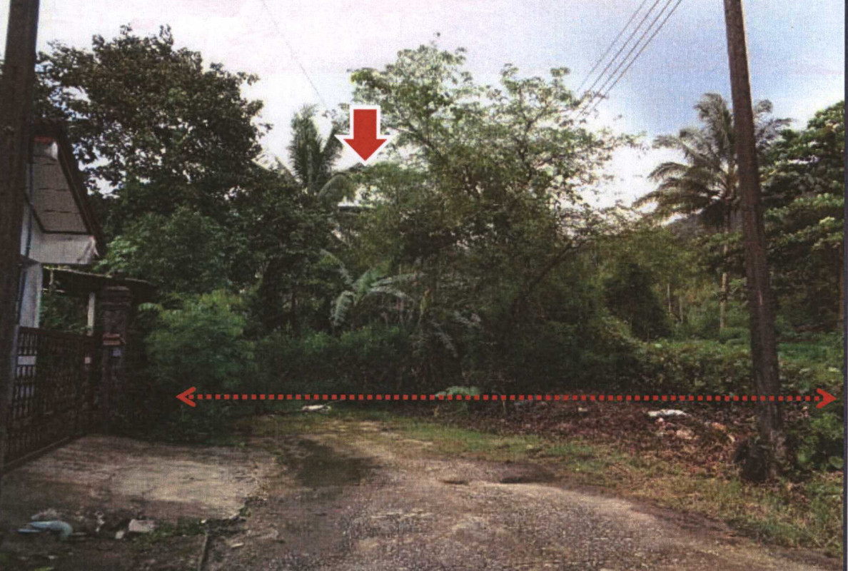 ที่ดินเปล่า ระนอง เมืองระนอง บางนอน 1289200