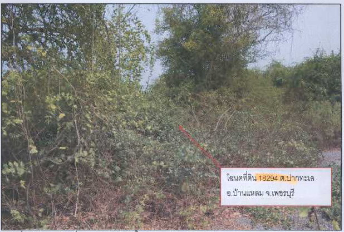 ที่ดินเปล่า เพชรบุรี เขาย้อย หนองชุมพล 110000