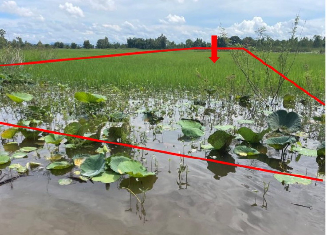 ที่ดินเปล่า สกลนคร เมืองสกลนคร ธาตุเชิงชุม 360000