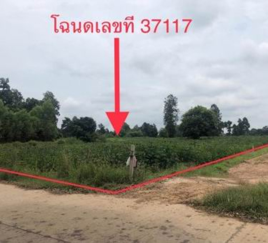 ที่ดินเปล่า กาฬสินธุ์ เมืองกาฬสินธุ์ ลำปาว 580000