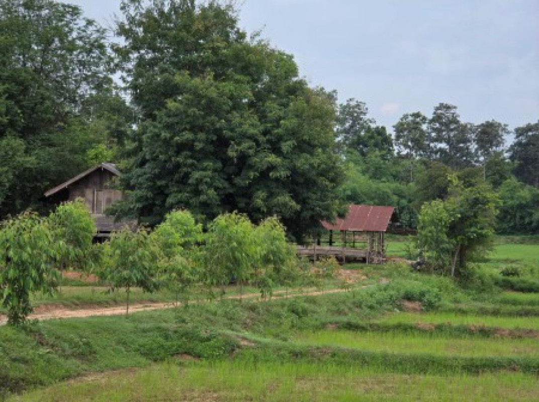 บ้านเดี่ยว กาฬสินธุ์ เมืองกาฬสินธุ์ ลำปาว 1120000