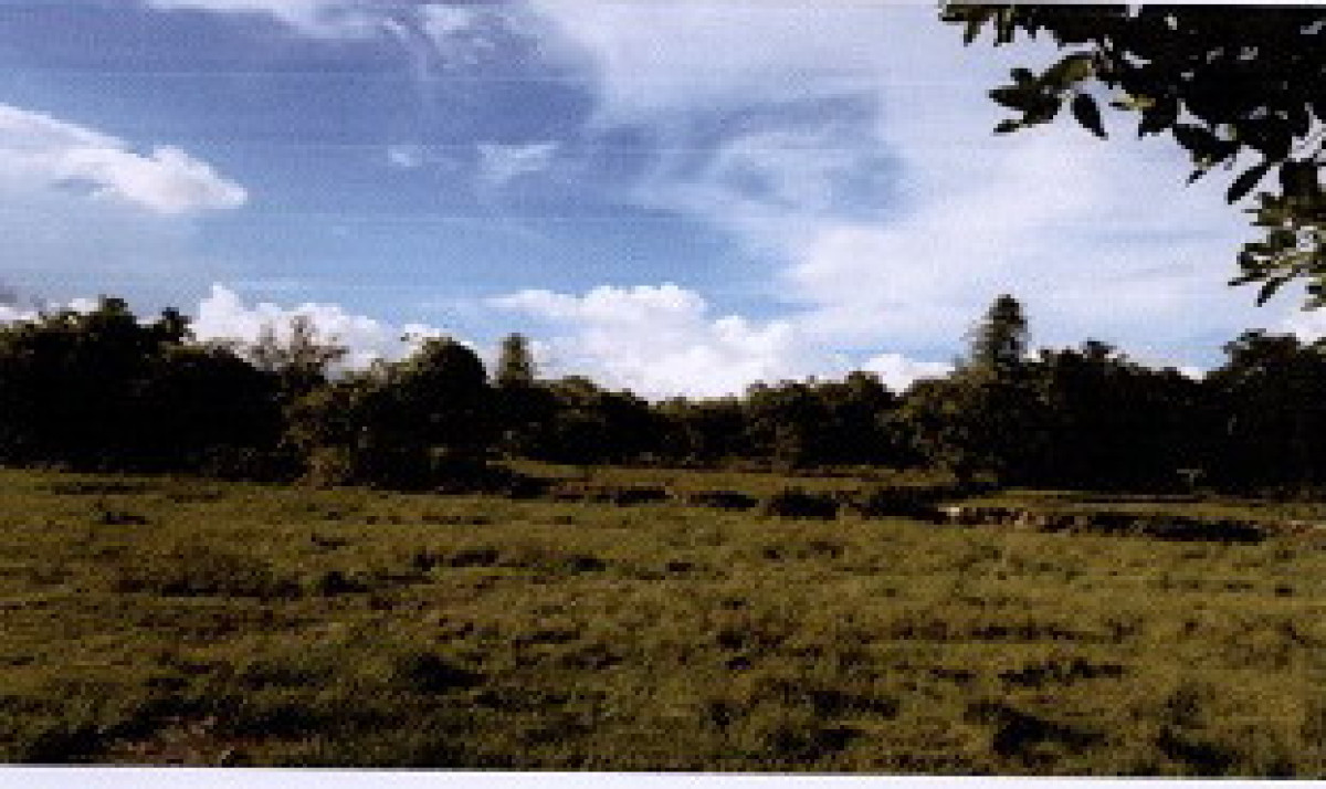 Residential land/lot Narathiwat Rueso Batong 59520