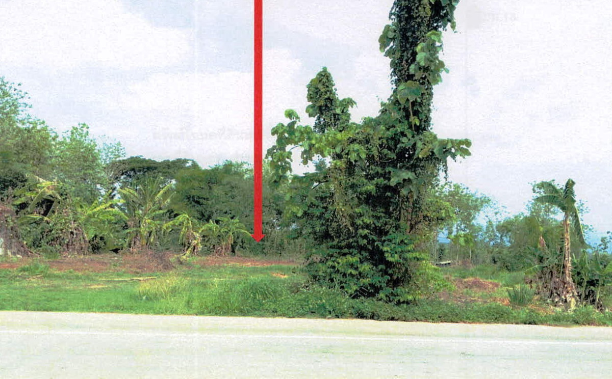 ที่ดินเปล่า ลำปาง เมืองลำปาง บ้านเอื้อม 425250