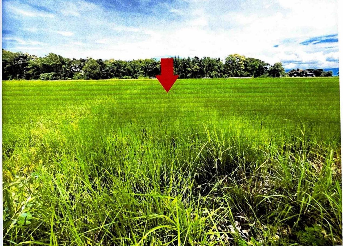 Residential land/lot Phayao Phu Kamyao Huai Kaeo 162360