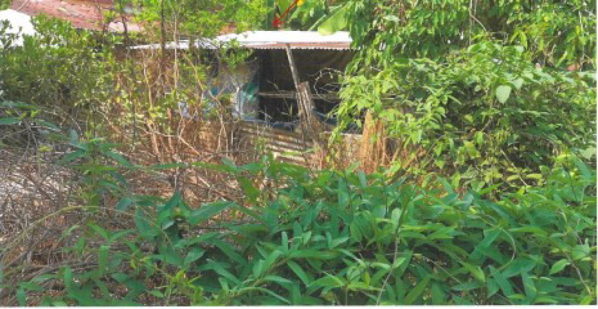 บ้านเดี่ยว อุดรธานี เมืองอุดรธานี หนองนาคำ 316000