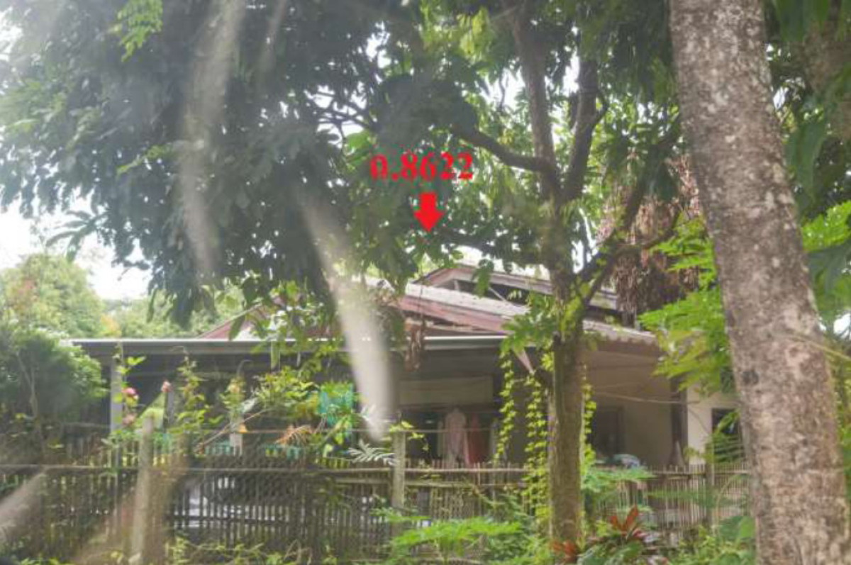 บ้านเดี่ยว เชียงใหม่ แม่ออน ออนกลาง 727740