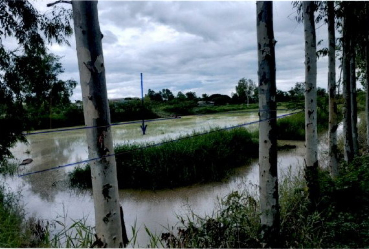 ที่ดินเปล่า กำแพงเพชร ขาณุวรลักษบุรี สลกบาตร 3000000