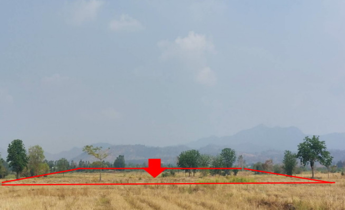 Residential land/lot Phetchabun Chon Daen Lat Khae 224240
