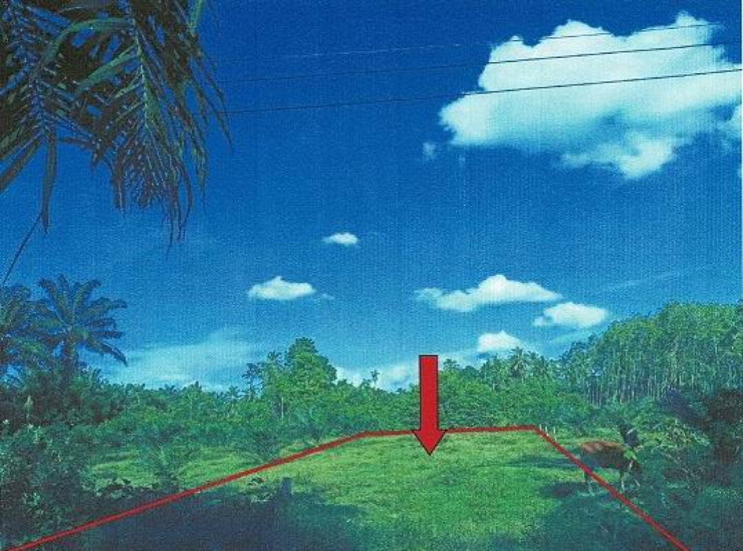 ที่ดินเปล่า ตรัง เมืองตรัง ทับเที่ยง 48540