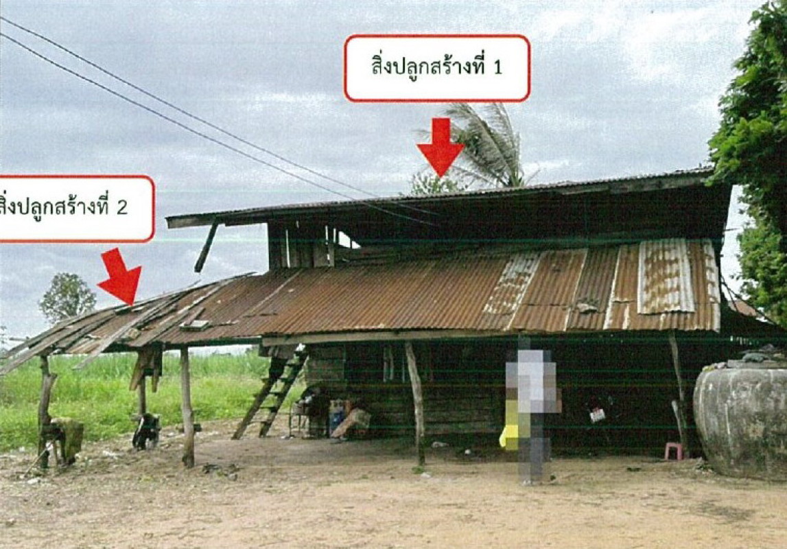 บ้านเดี่ยว นครราชสีมา พิมาย นิคมสร้างตนเอง 298970