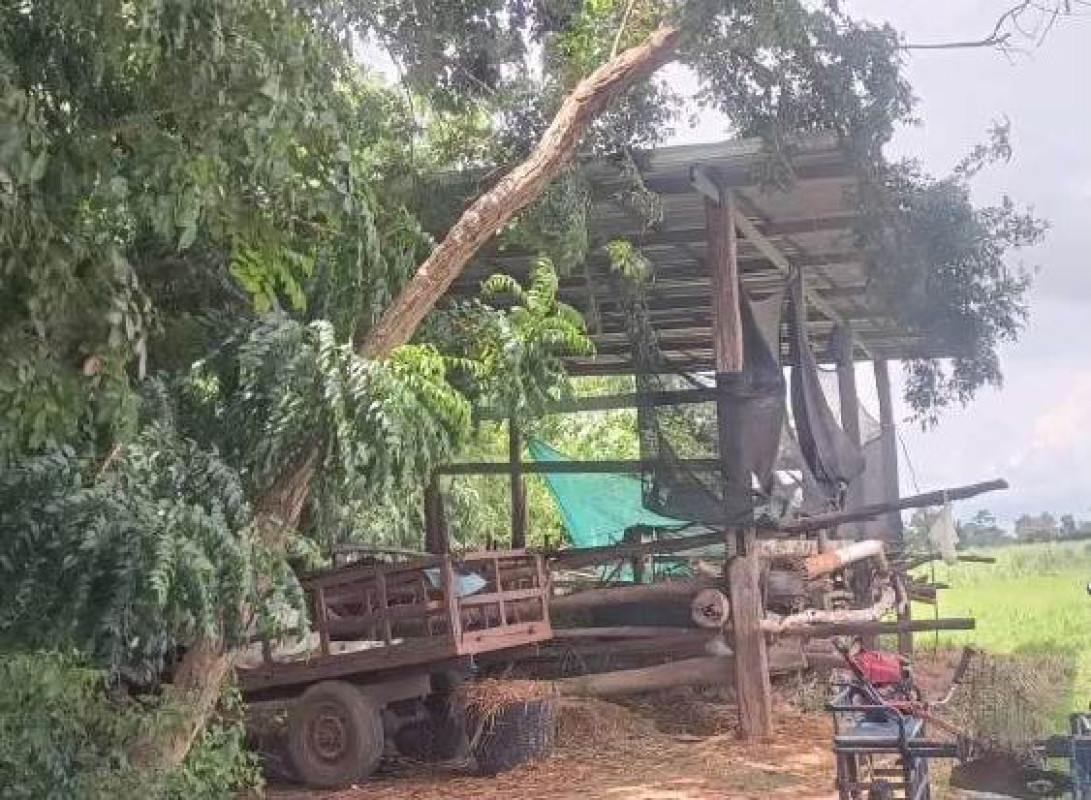 Single house Buri Ram Satuek Krasang 658800