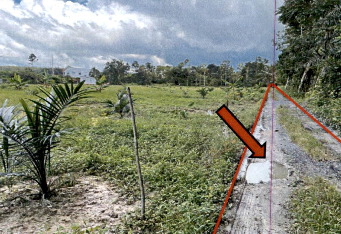 ที่ดินเปล่า สุราษฎร์ธานี กาญจนดิษฐ์ พลายวาส 109400