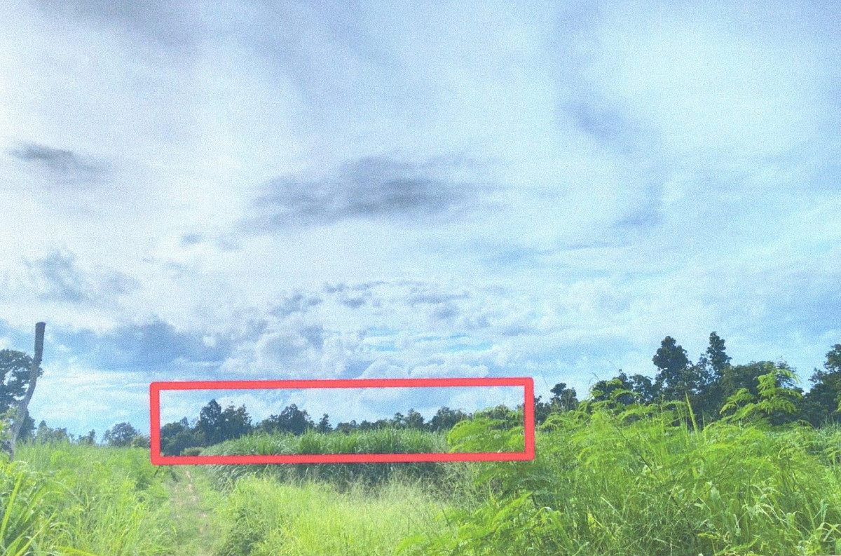ที่ดินเปล่า ขอนแก่น ภูเวียง ดินดำ 491400