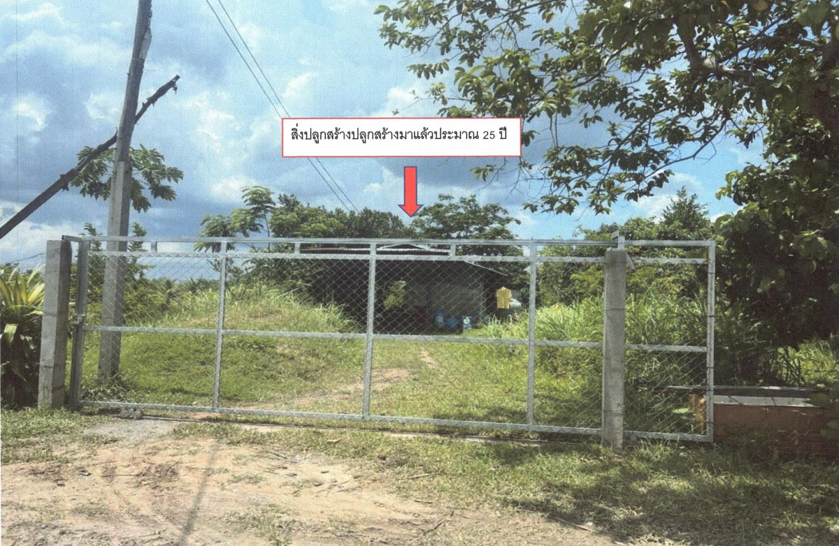 Single house Khon Kaen Chum Phae Na Nong Thum 601525