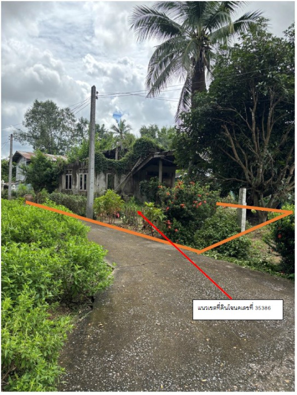 Residential land/lot Phichit Mueang Phichit Tha Lo 72600