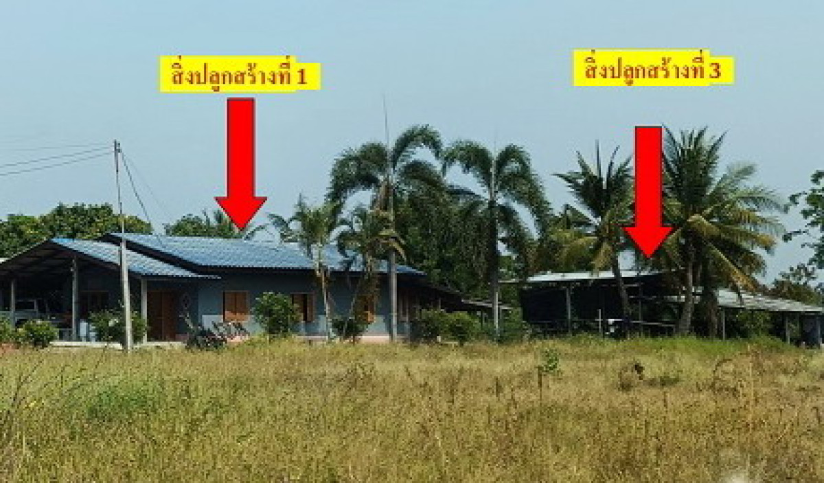 บ้านเดี่ยว ราชบุรี บ้านโป่ง กรับใหญ่ 1674640