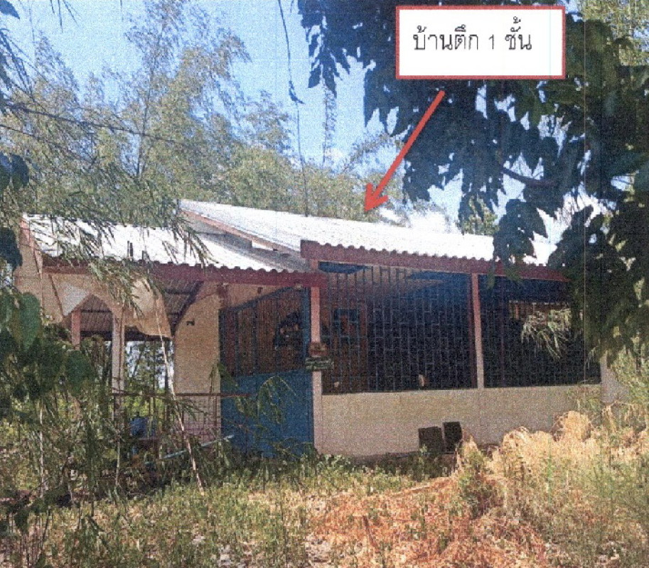 บ้านเดี่ยว นครราชสีมา ชุมพวง โนนรัง 0