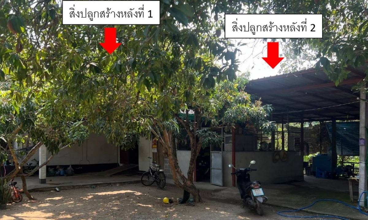 บ้านเดี่ยว เชียงใหม่ สารภี สันทราย 1705170